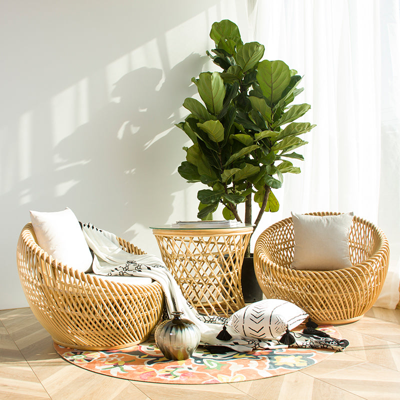 Zenyara Rattan Chair, Shell Shaped, Minimalist Style Chair