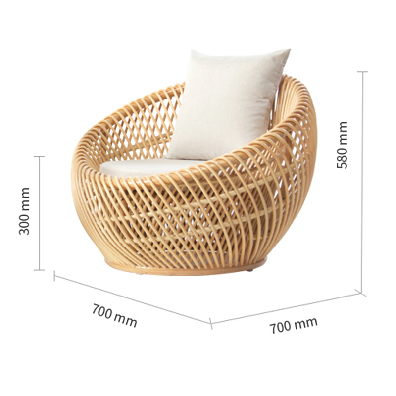 Zenyara Rattan Chair, Shell Shaped, Minimalist Style Chair